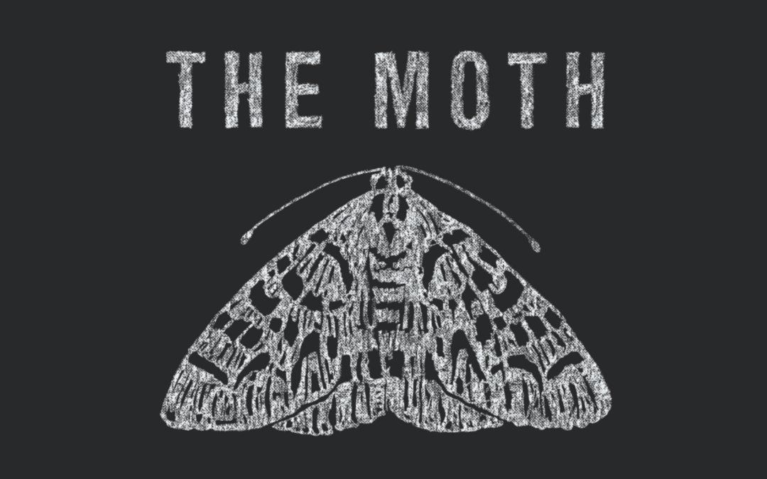 the black and white logo of the moth