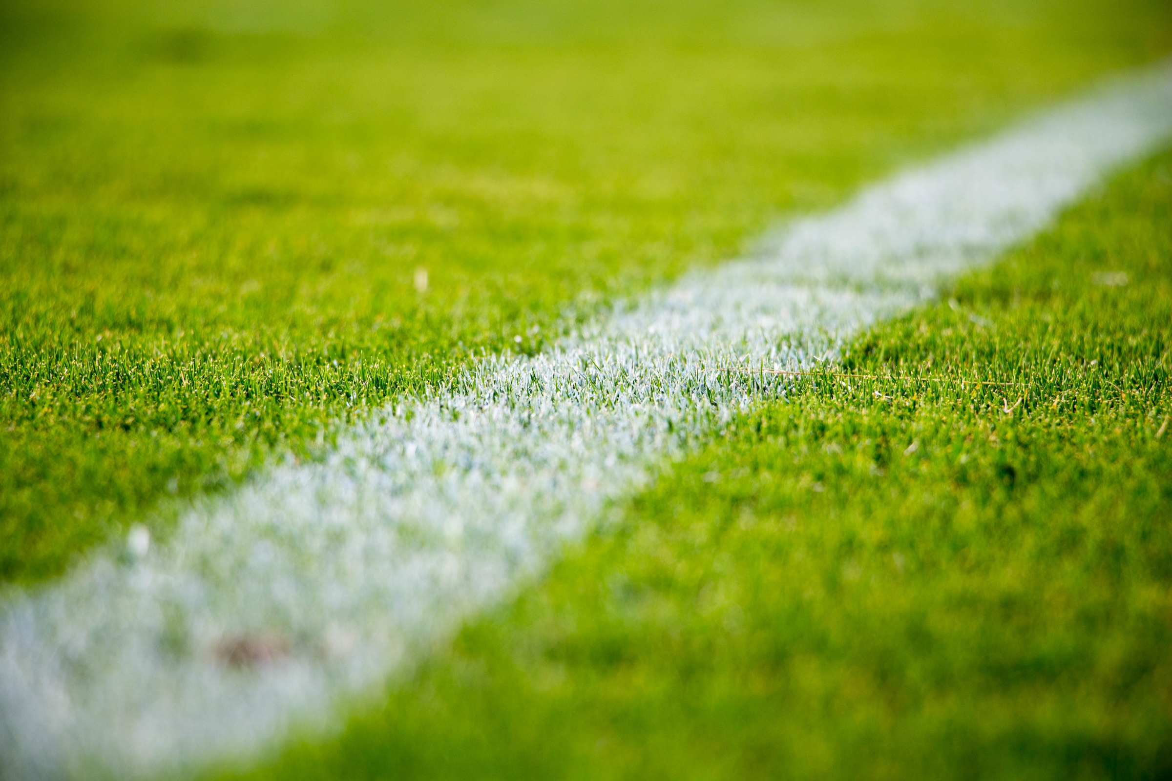 a close-up of the bright green turf with a white line of a sports field