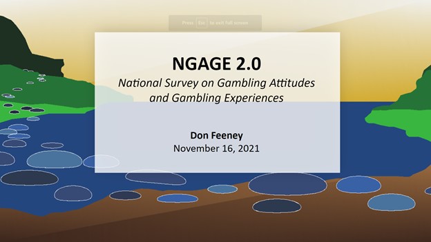 NGAGE 2.0 and the 2021 MN State Lottery, Gambling Participation Rates of Minnesota Adults.