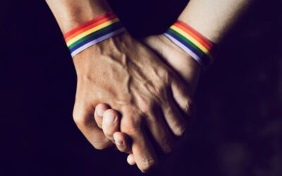 The WAGER, Vol. 30(11) – Factors associated with problematic gambling among the LGBTQ+ community